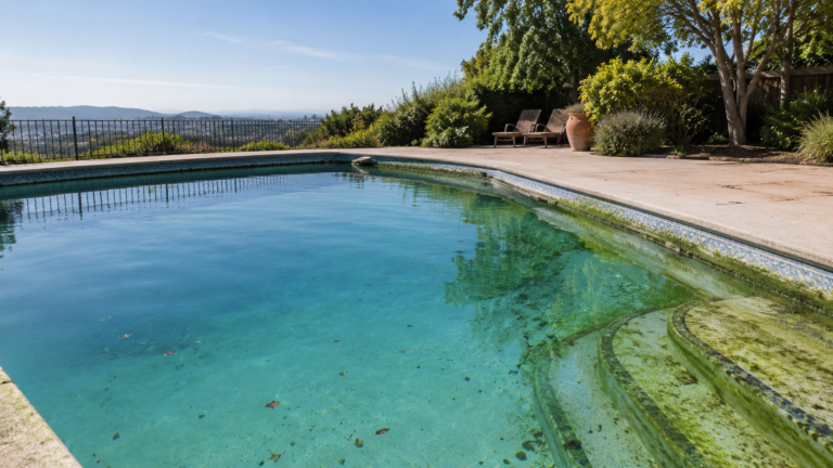 Visible algae growing on the walls and steps of a residential pool in Hayward, California